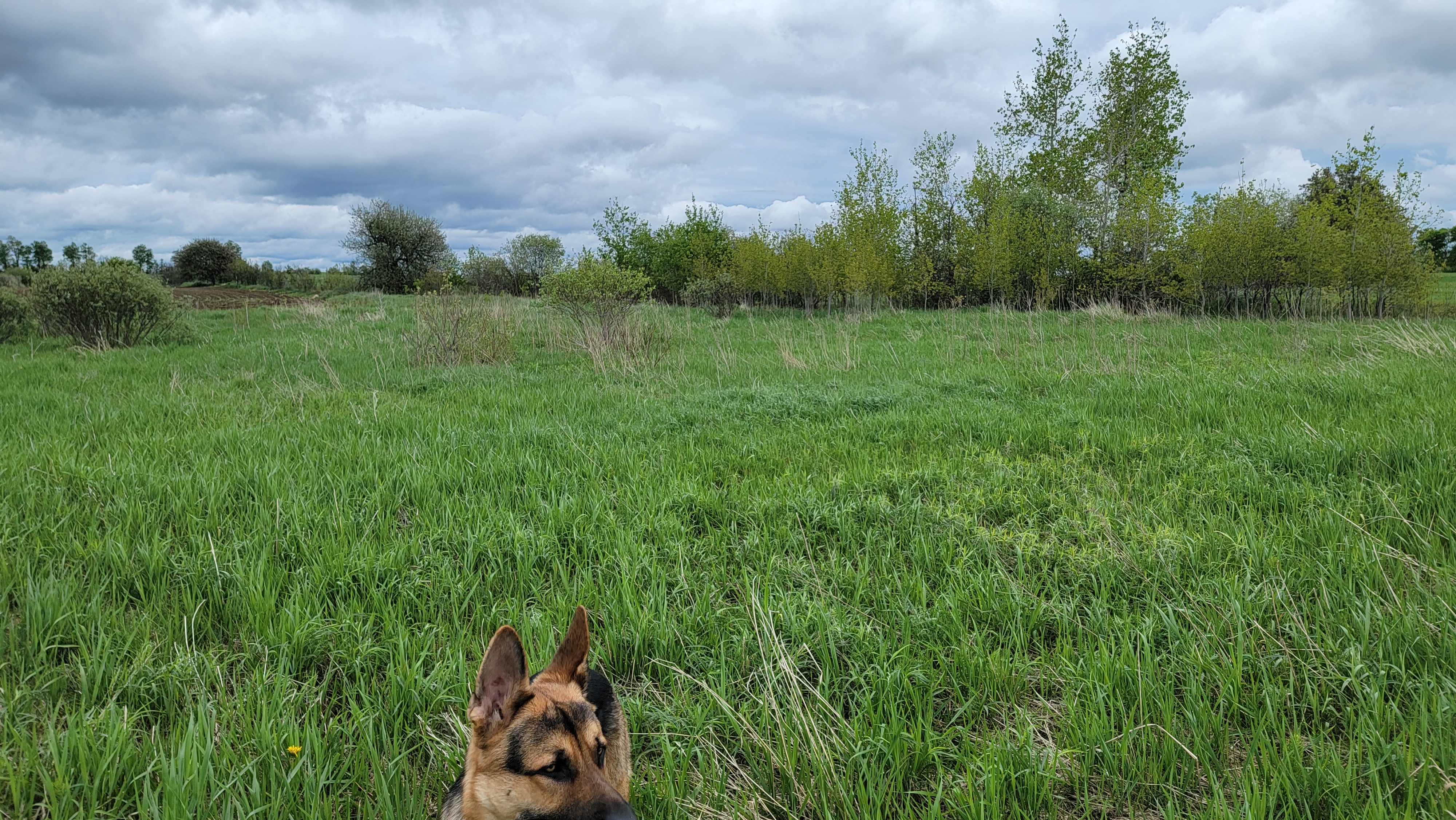 Vacant Land for Place of Worship preview 3
